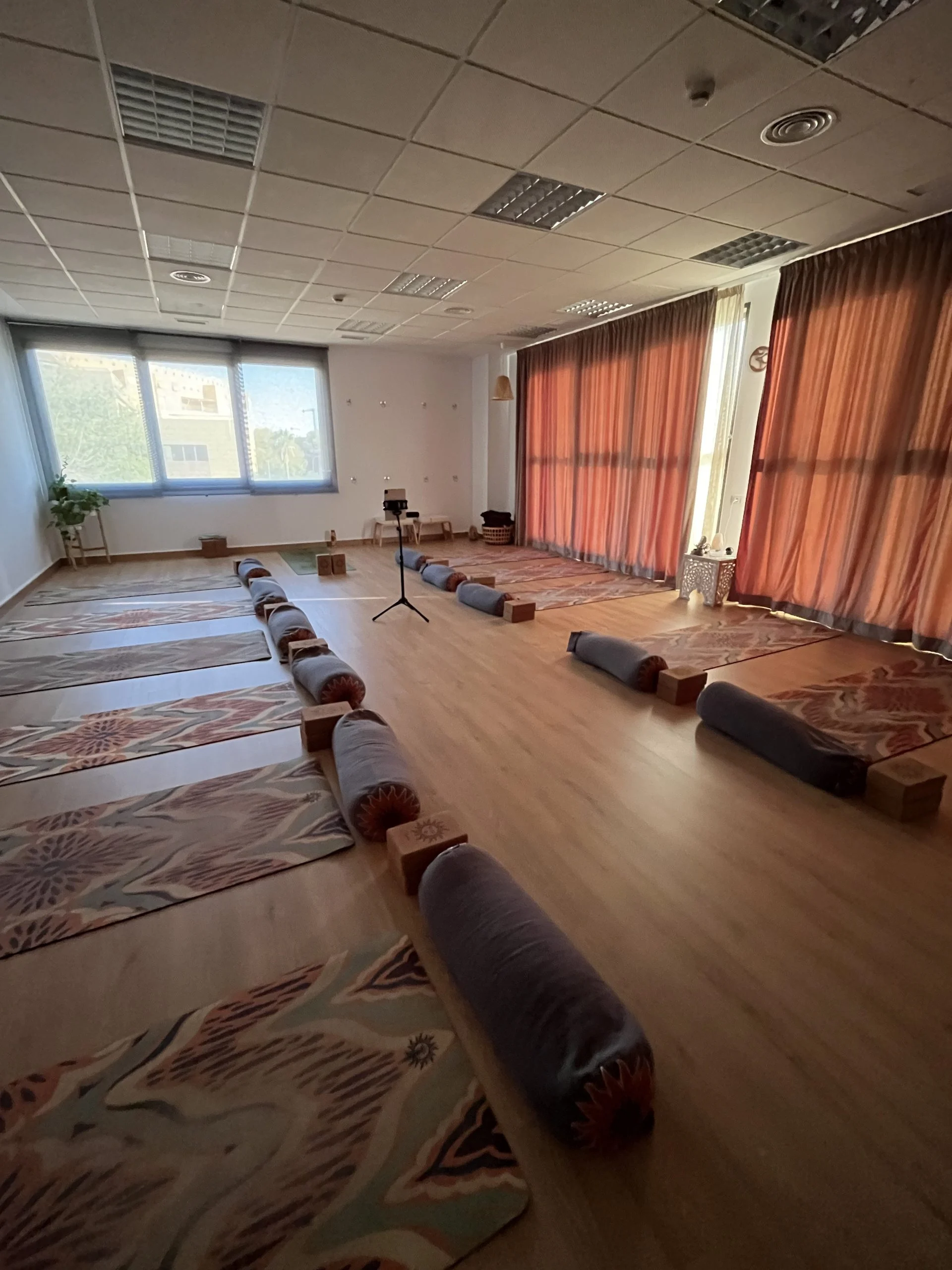 Sala de práctica vacía, con esterillas, cojines alargados y bloques colocados en filas antes de la clase